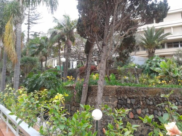 Tranquilo Apartamento Puerto De La Cruz Екстериор снимка